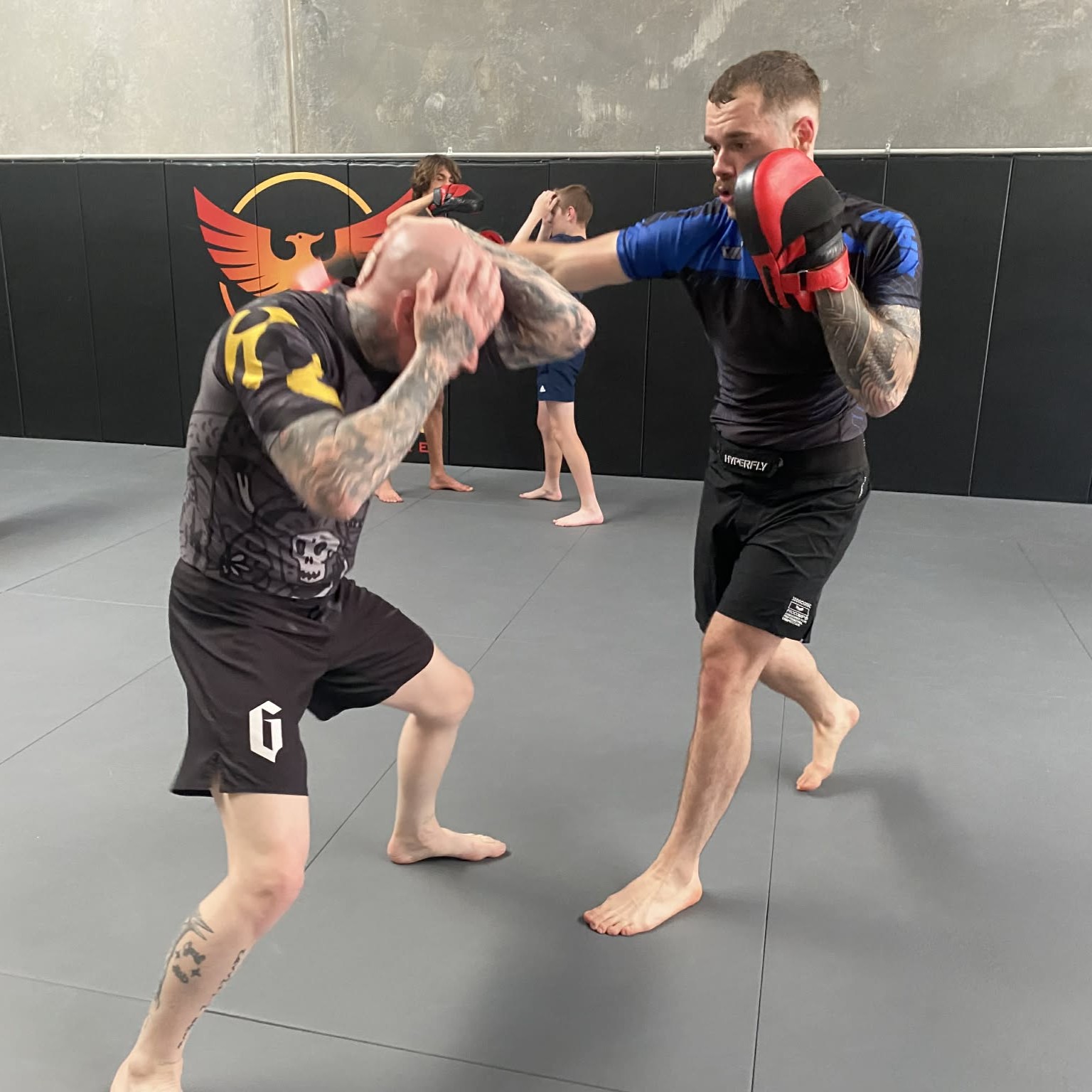 Phoenix Combatives self-defence class for adults