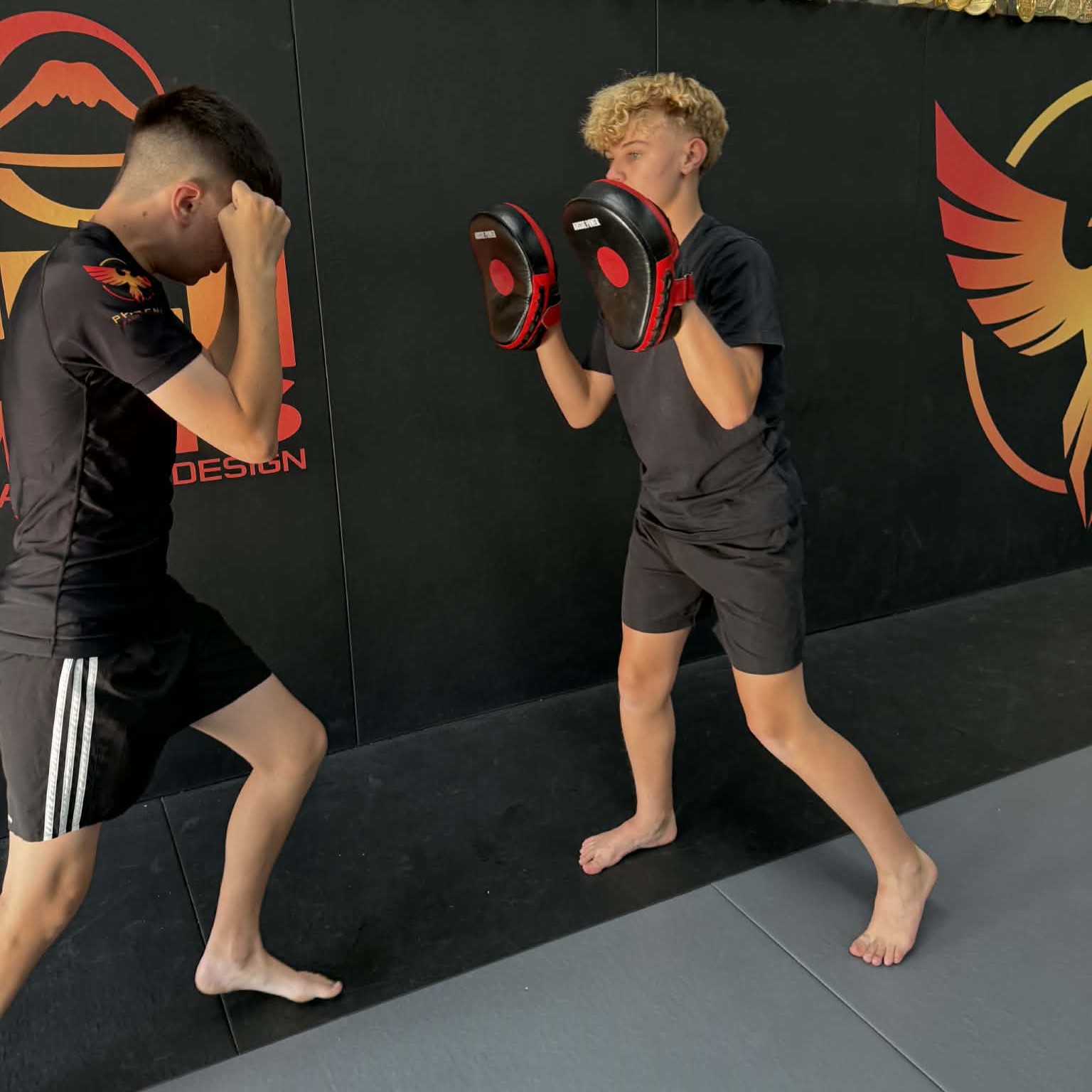 Phoenix Combatives class environment