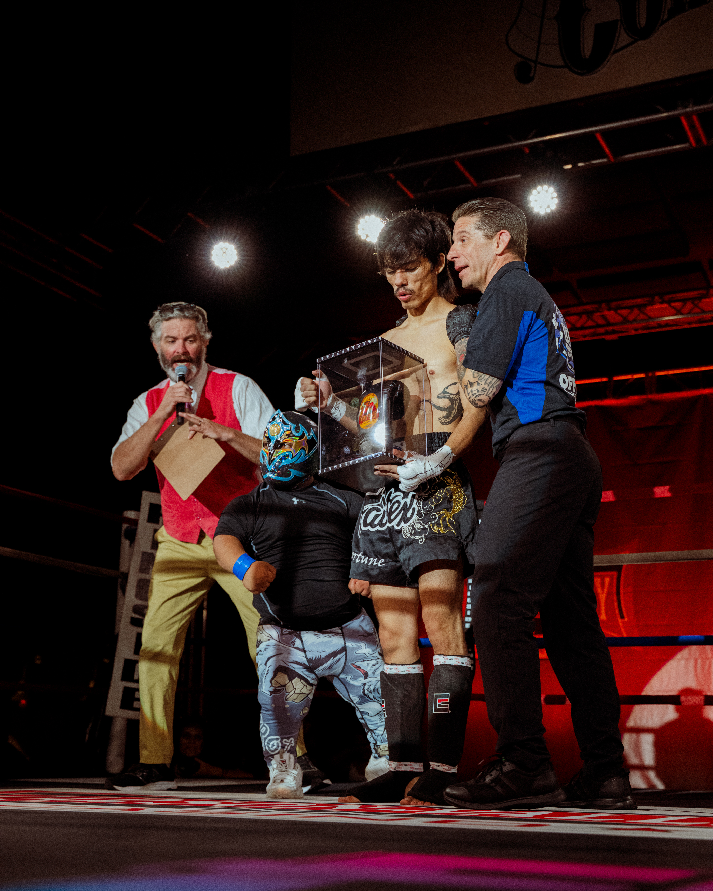 Fight Night action