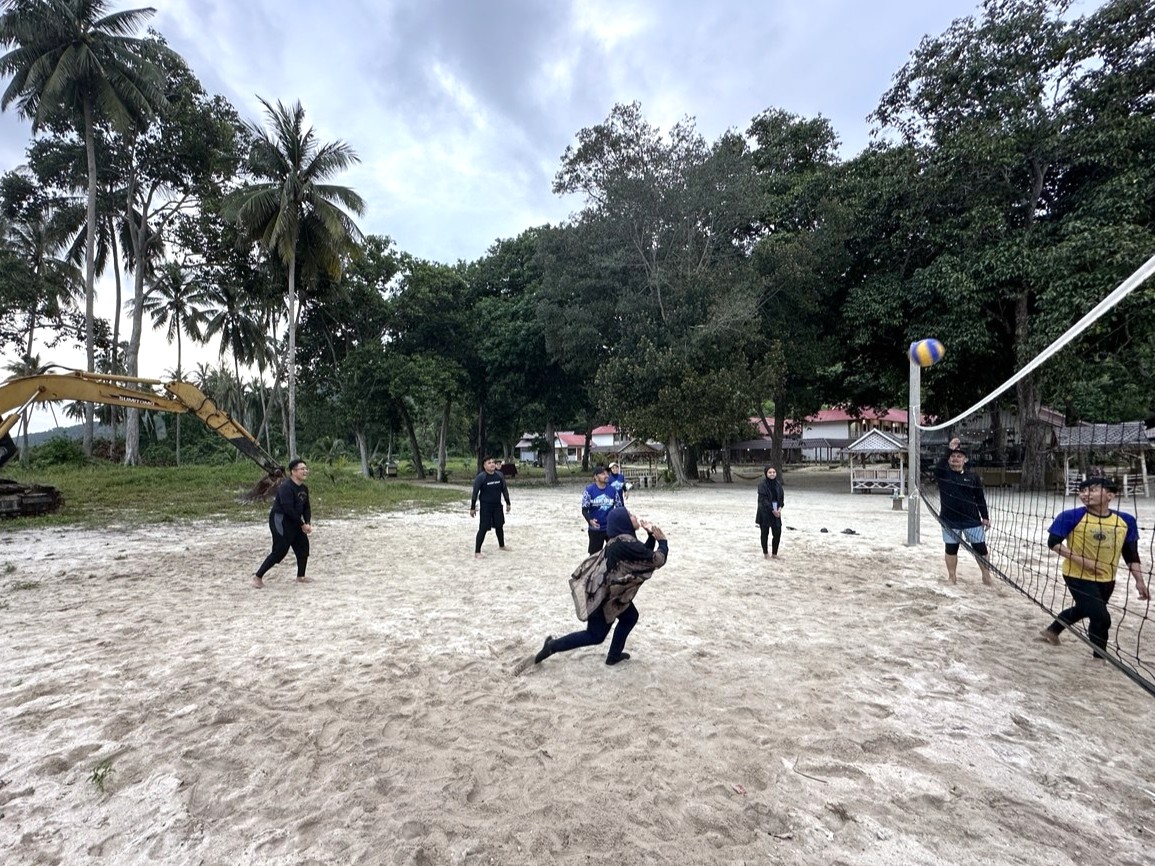 Company Activity