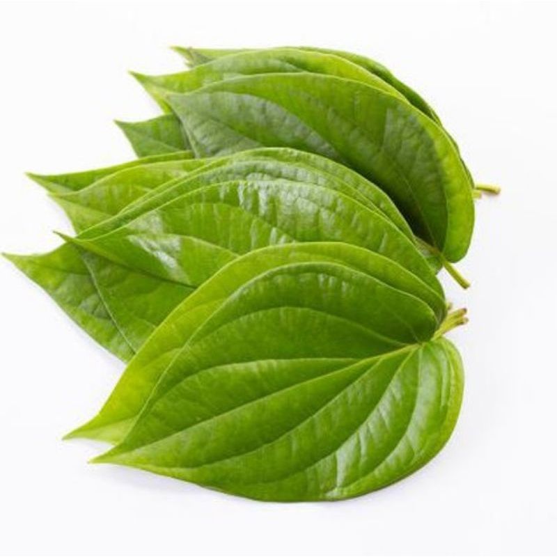 Sireh