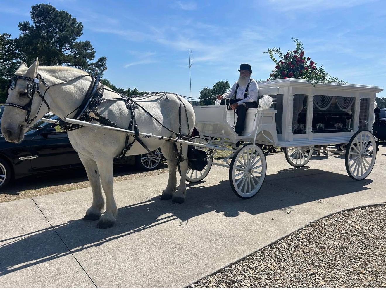 White horse-drawn funeral hearse with coachman