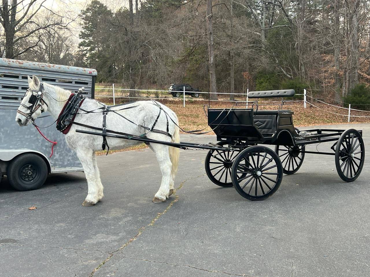 Black horse and carriage cart