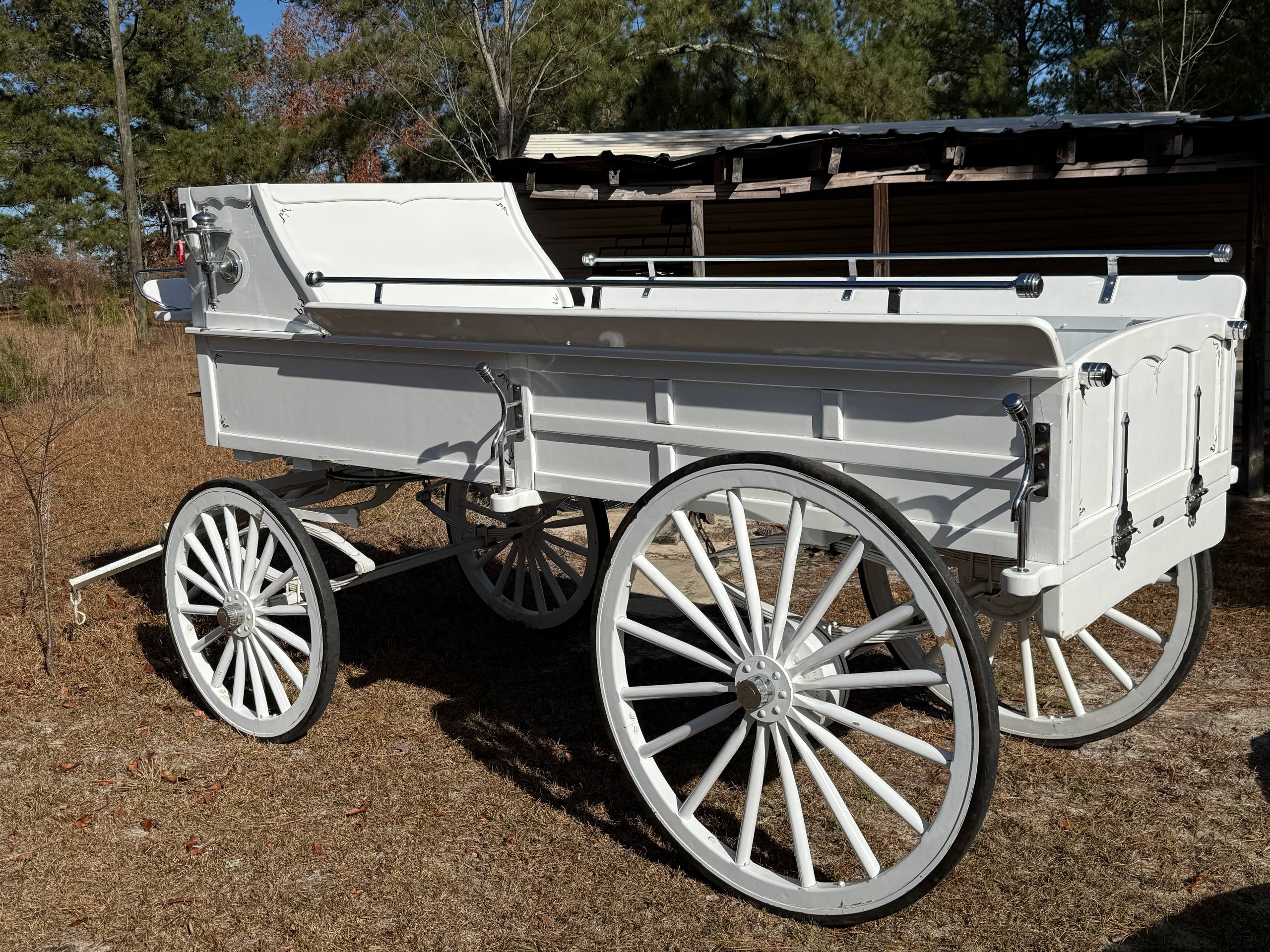 Vintage white horse-drawn hearse wagon with chrome trim