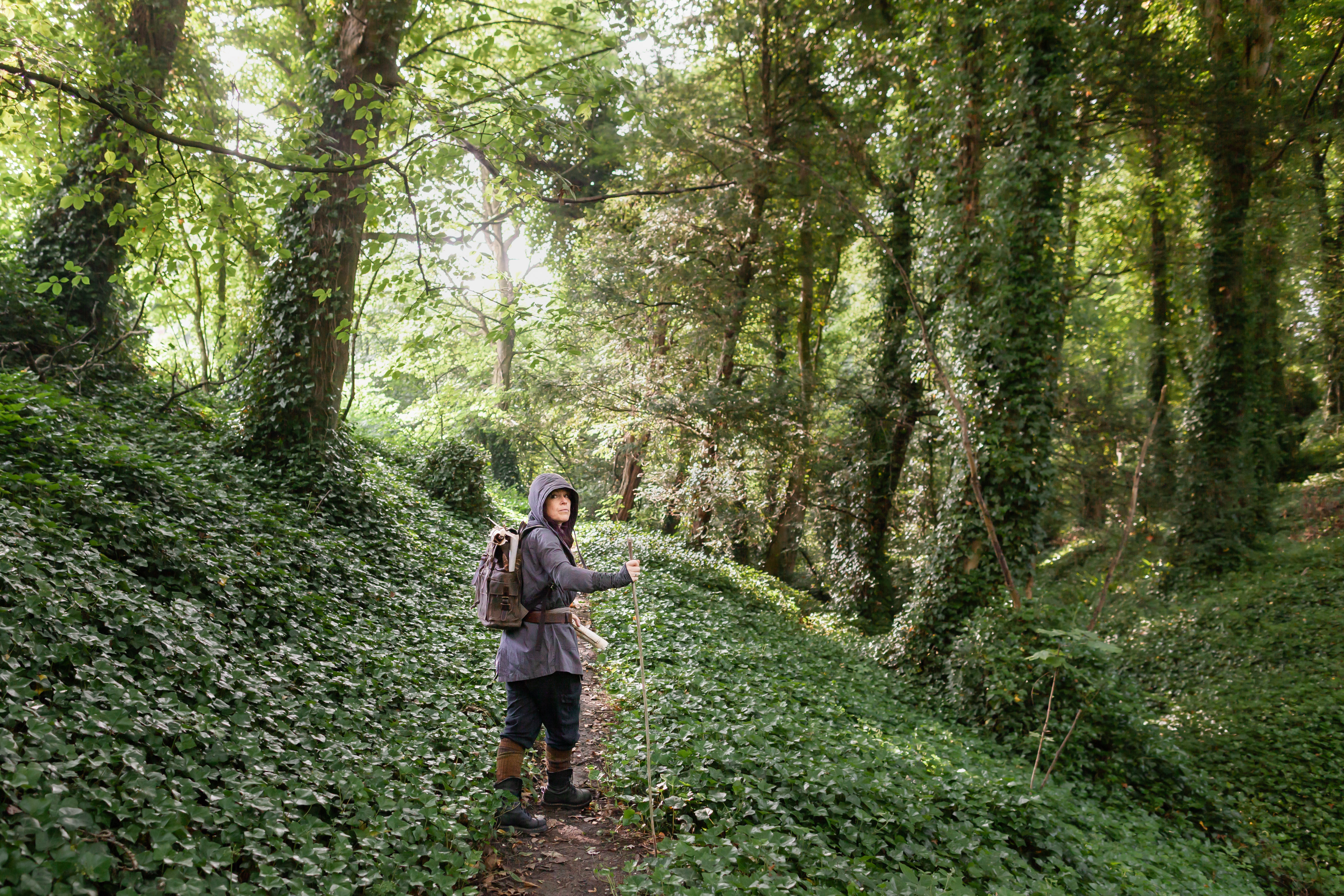 Outlandish woodland