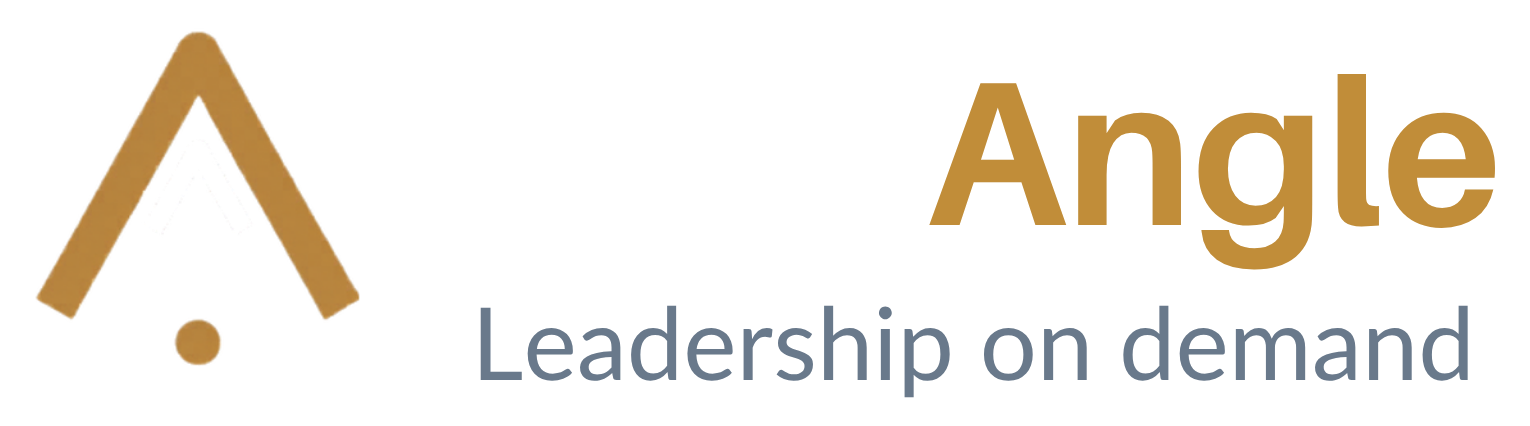 CXO Angle - Fractional CXO Leadership India
