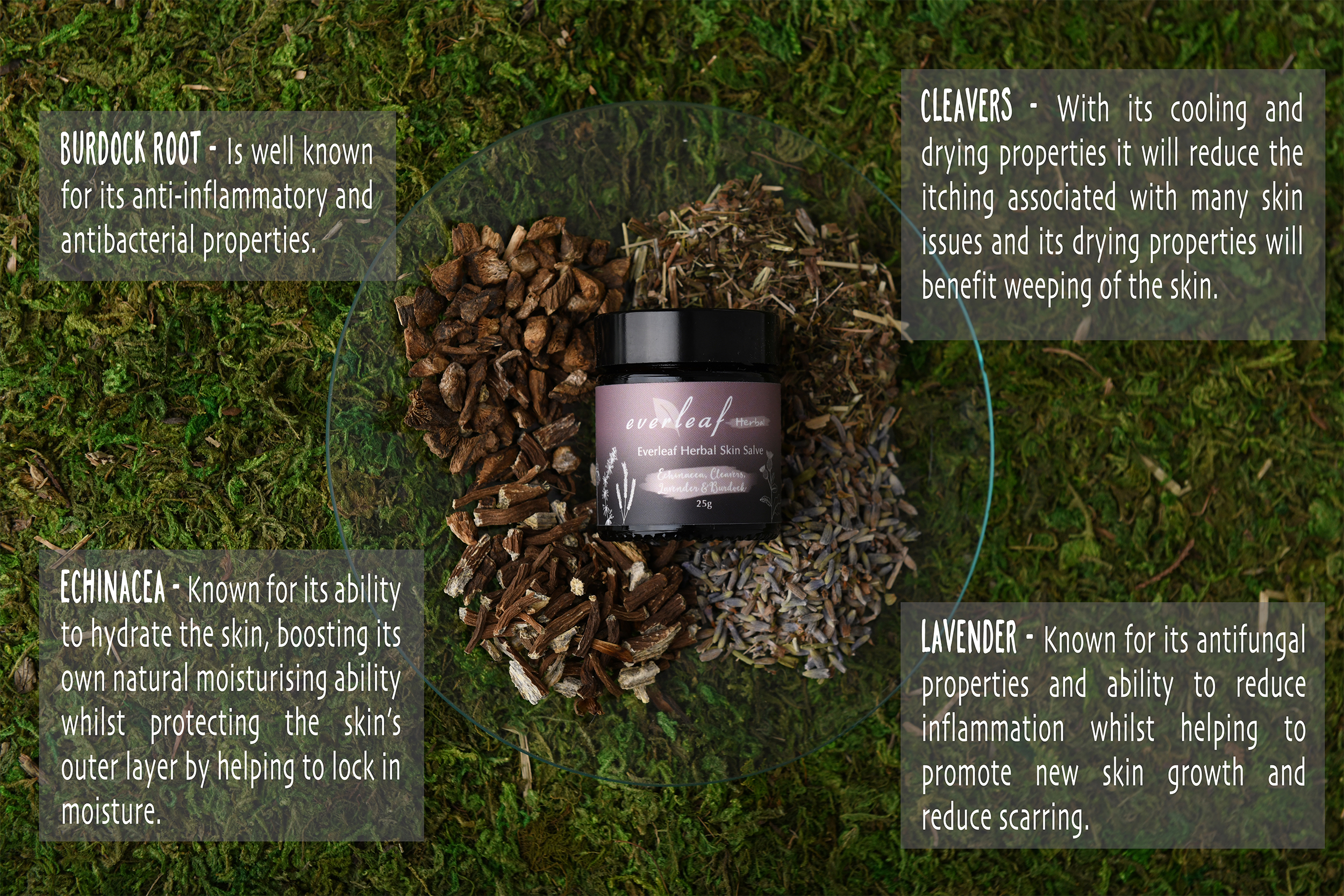 Whats inside the Everleaf Herbal Skin Salve