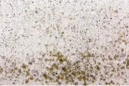 Carpet hard water treatment