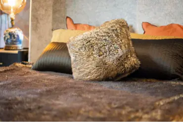 Commercial Cleaning in Littleton CO — Colorado Choice Carpet Cleaning