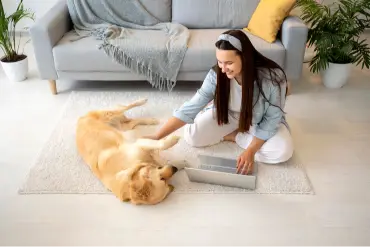 castle rock pet urine carpet cleaning same day