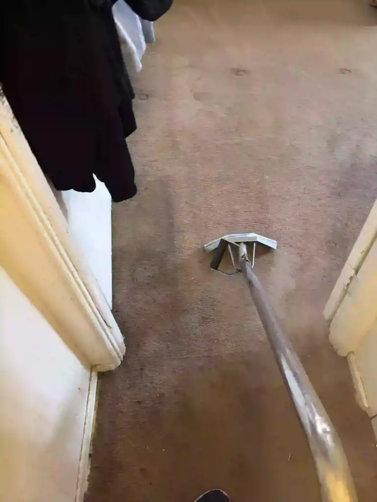 Carpet cleaning