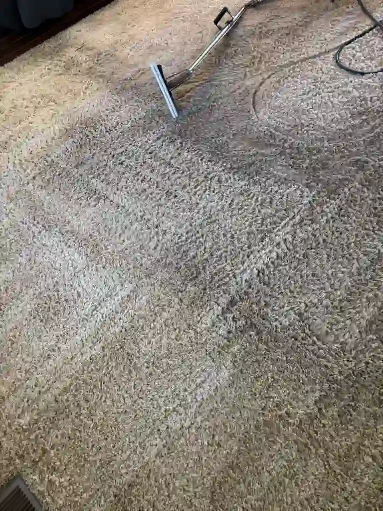 Stain Removal Chemistry Classification Denver Metro
