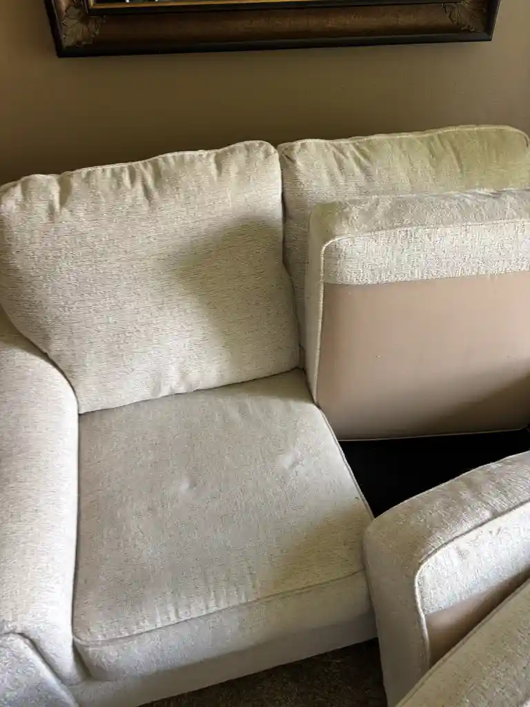 Professional Upholstery Cleaning In Denver Metro