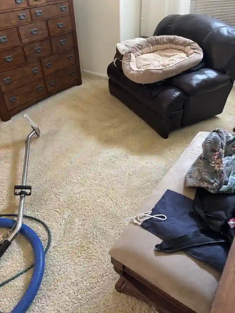 Move-out same-day carpet cleaning for tenant turnover