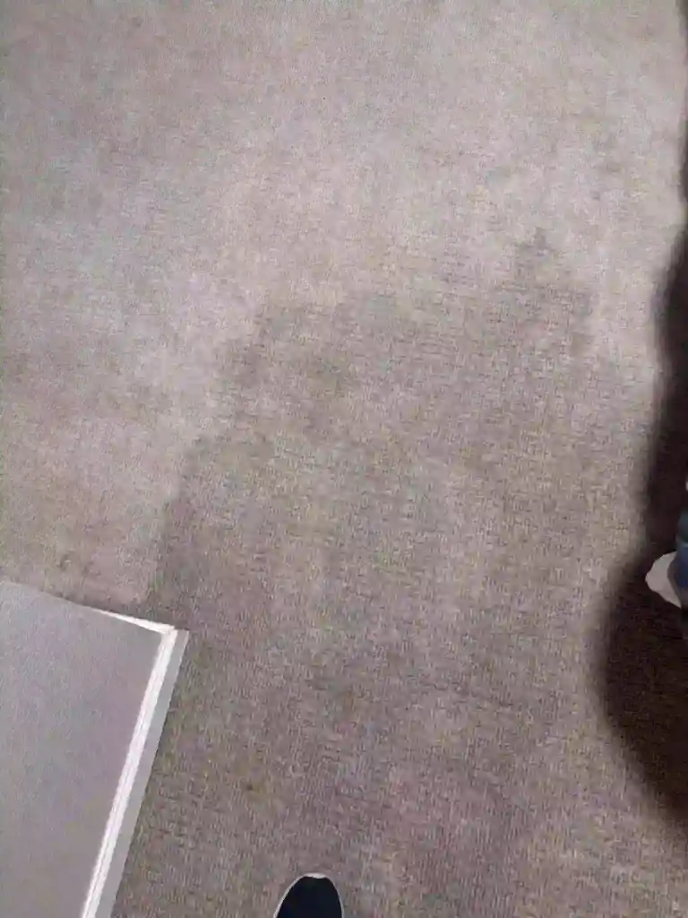 Water Damage — Same-Day Emergency Extraction in Denver Metro