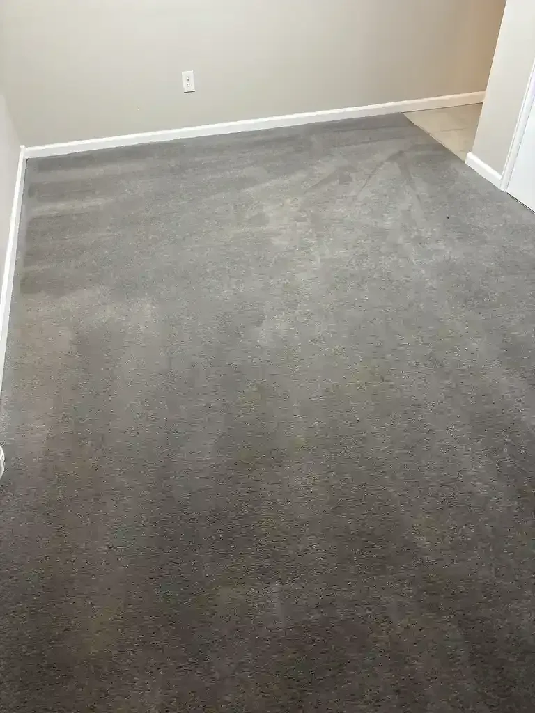 Emergency Carpet Cleaning in Castle Pines