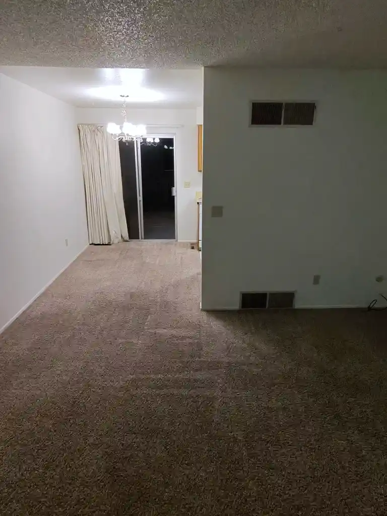 Carpet Cleaning Real Estate Houses in Littleton