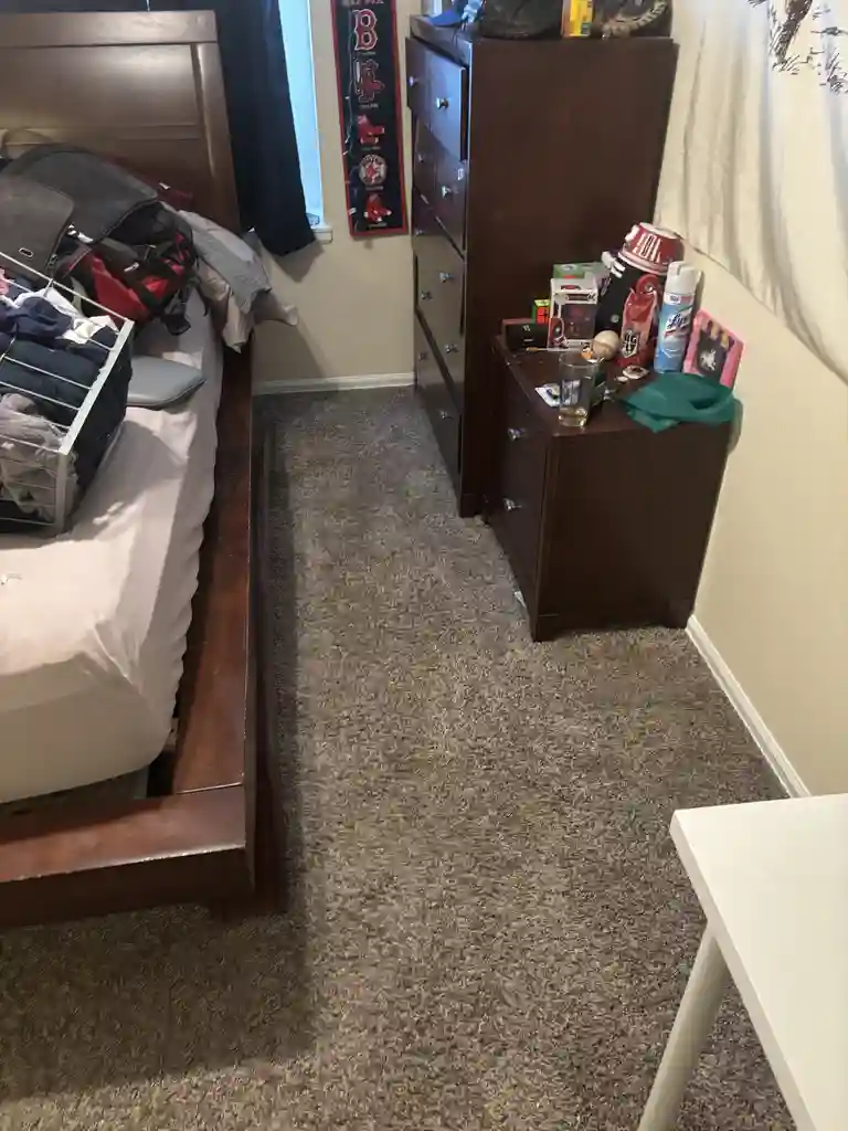 Rental Property Density Carpet Cleaning Across Littleton