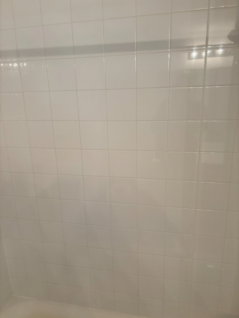 Dirty Grout Cleaning in Denver Metro