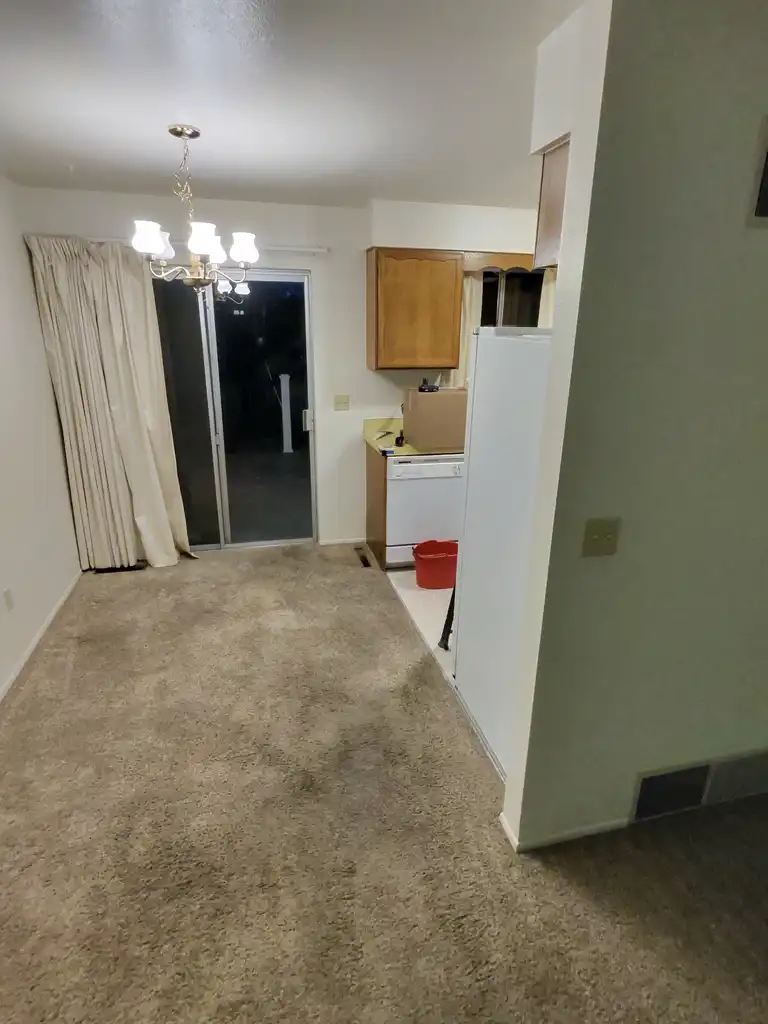 Who Actually Does Emergency Carpet Cleaning in Castle Pines? Here's What You Need to Know Before Water Damage Sets In