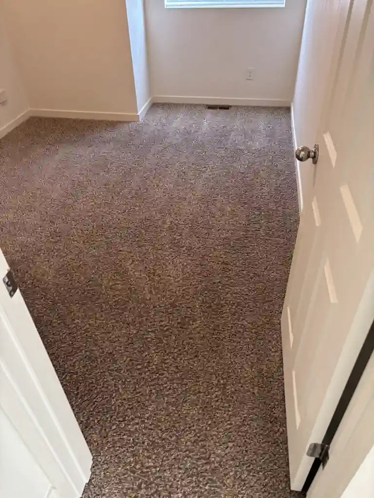 Red Clay Iron Oxide Carpet Cleaning in Highlands Ranch