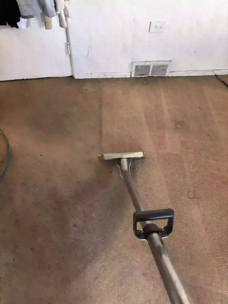 Road Treatment Chemicals Cleaning From Carpet in Highlands Ranch