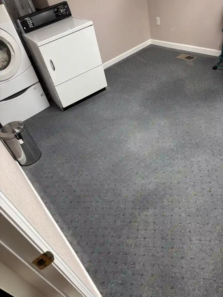 Appliance Failures Emergency Carpet Cleaning Across Highlands Ranch