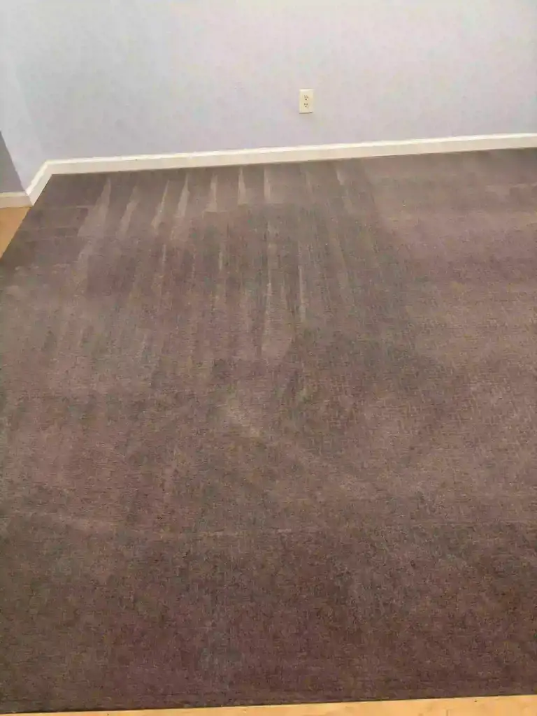 Red Clay as a Stain Entity Carpet Cleaning across Castle Rock
