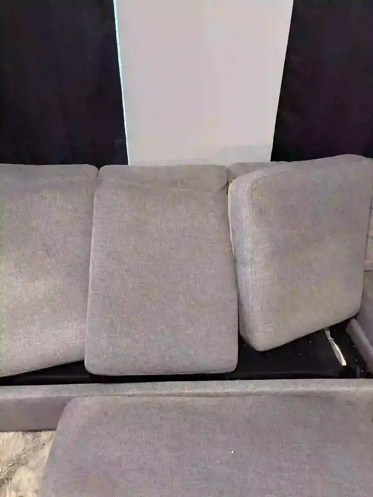 Dust Mite Population in Castle Rock Upholstery Cleaning