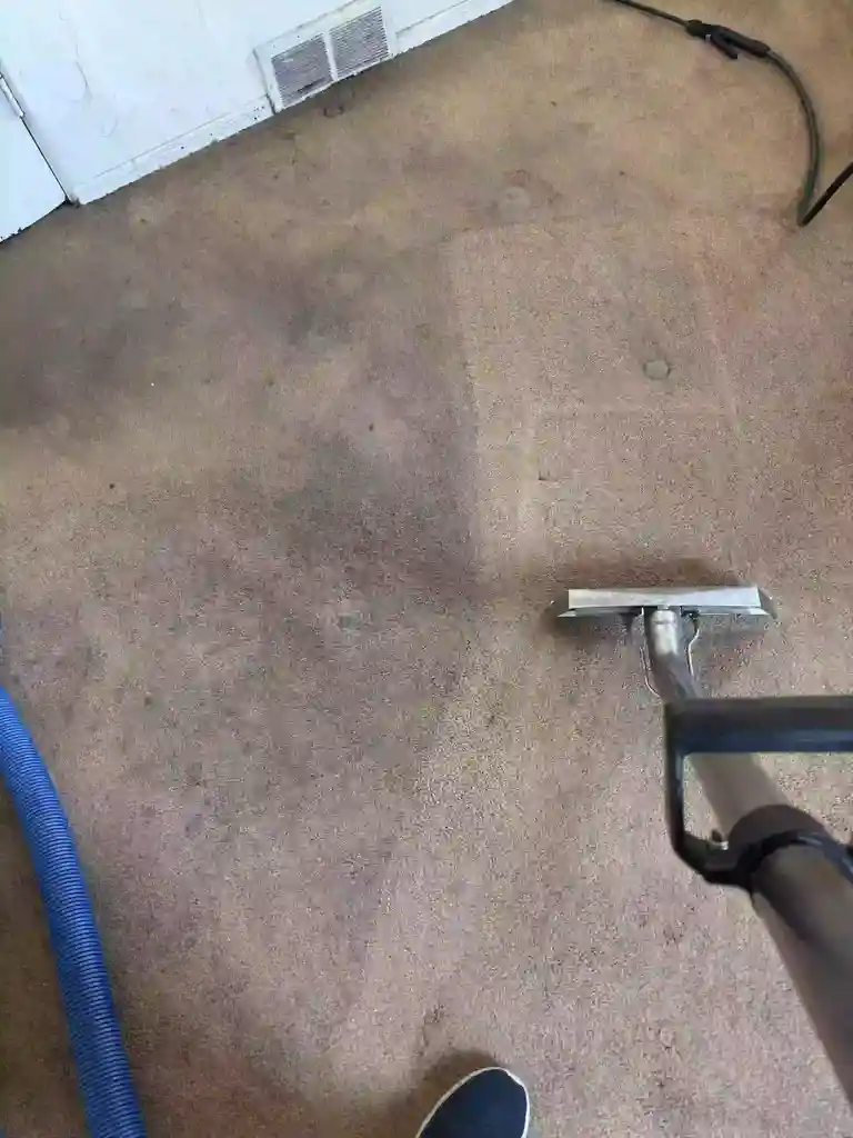 Fastest Same-Day Carpet Cleaning Responce in Castle Rock
