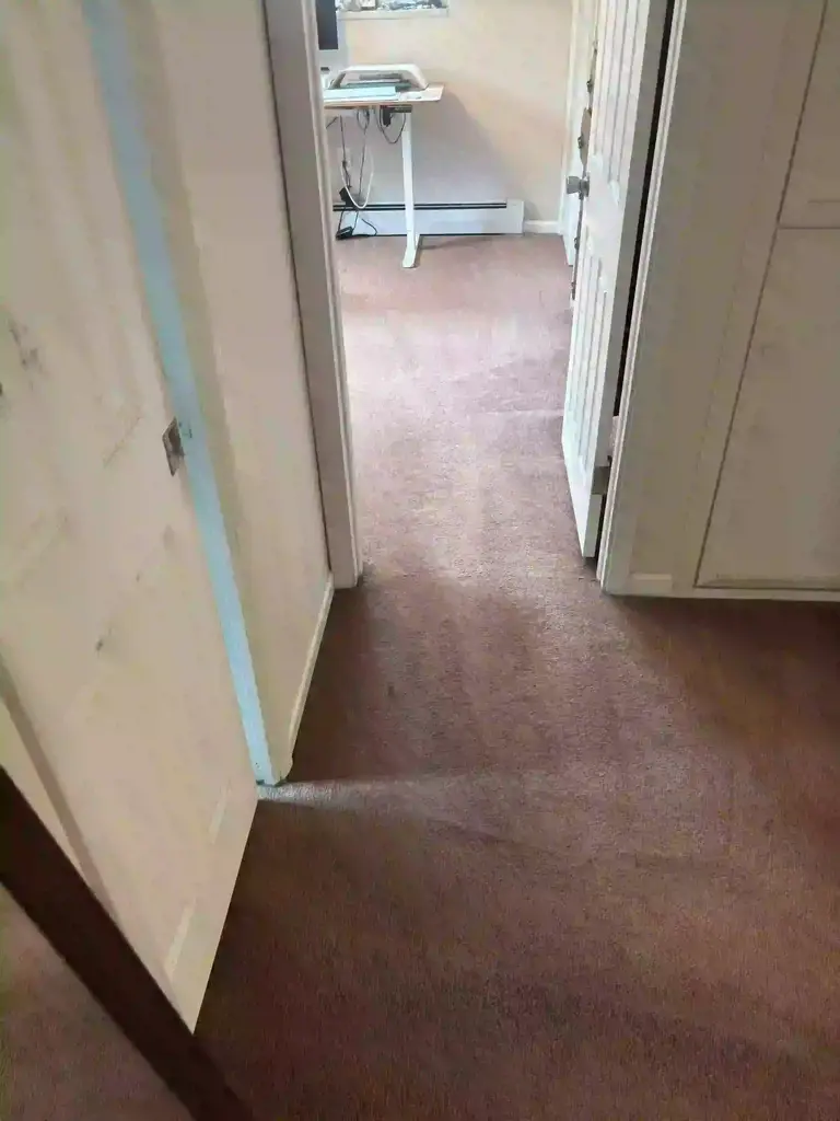 Emergency Carpet Cleaning in Castle Pines CO — Colorado Choice Carpet Cleaning