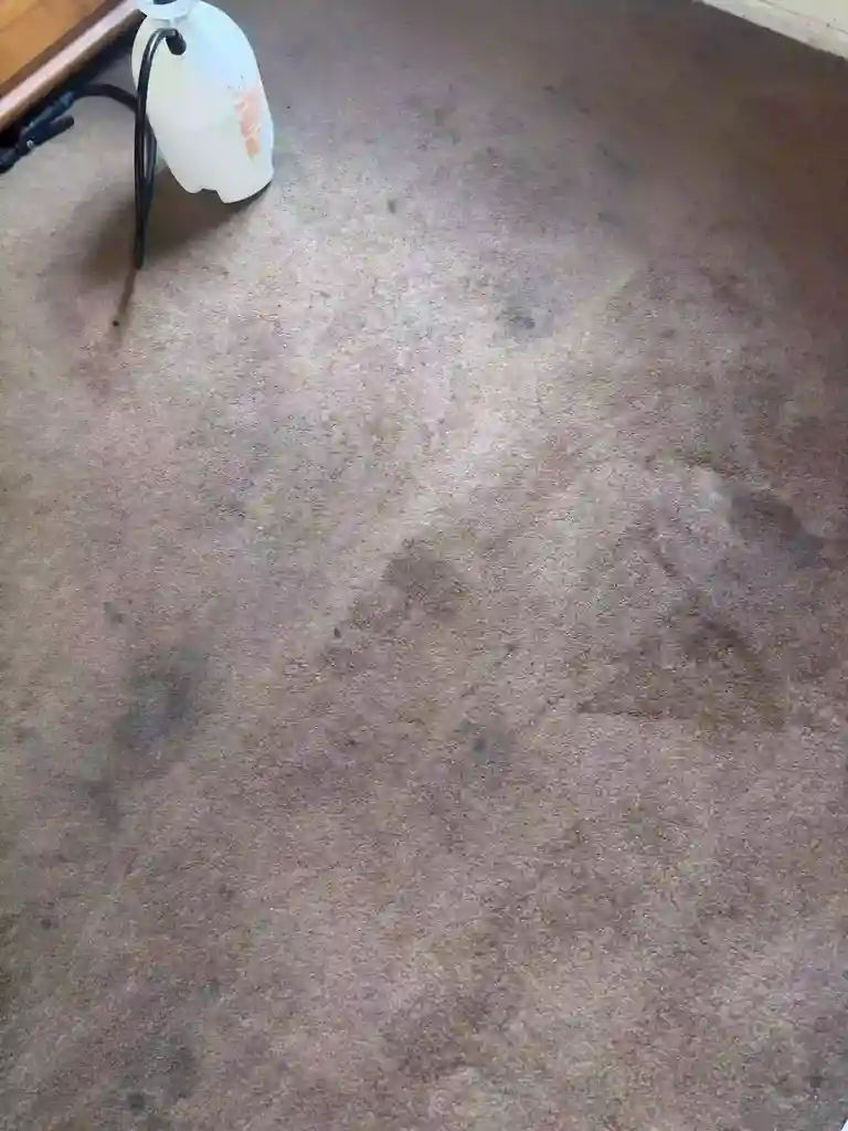 Lone Tree Denver Basin Hard Water and Enzyme Cleaning