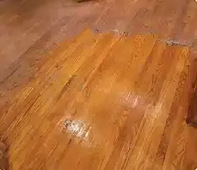 Red Clay Grit LVT Floor Cleaning Treatment Lone Tree