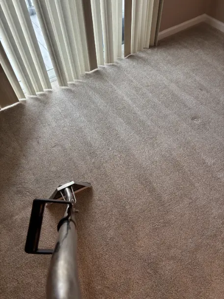 Same-Day Carpet Cleaning Lone Tree, CO | Available Today