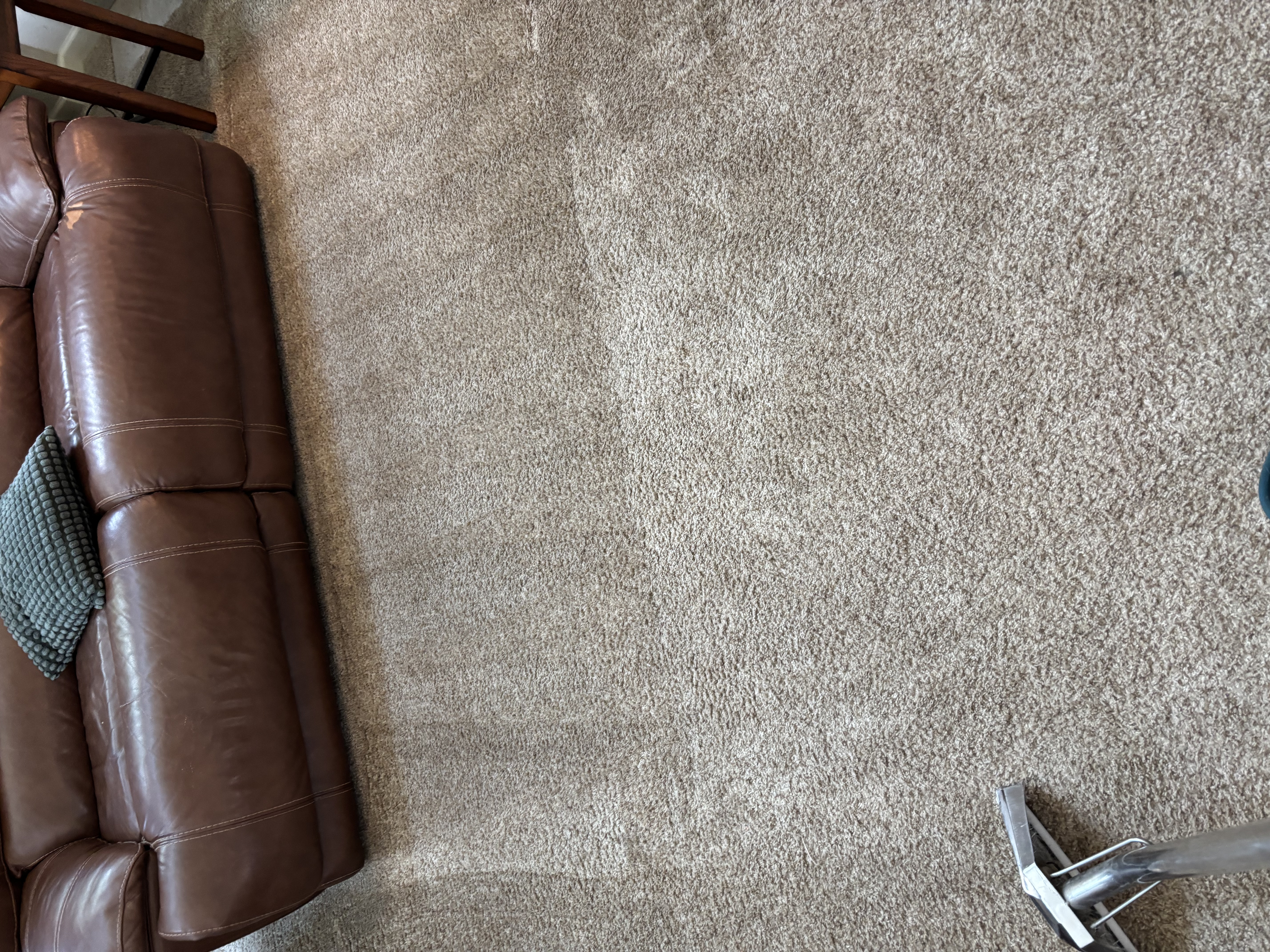 Same-day move-out carpet cleaning patterned loop pile Castle Pines