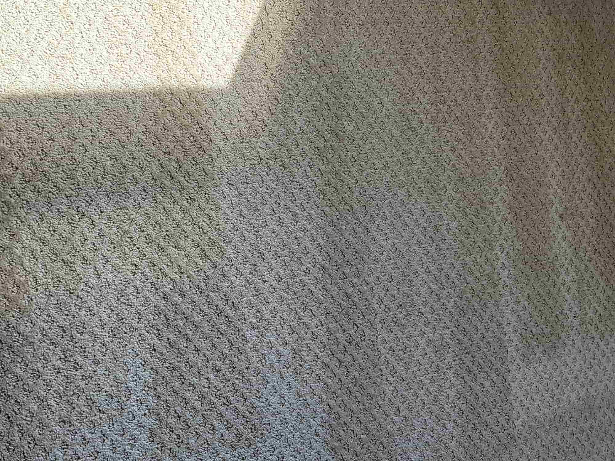 Same-Day Carpet Cleaning in Castle Pines – Move-Out Emergency at The Canyons