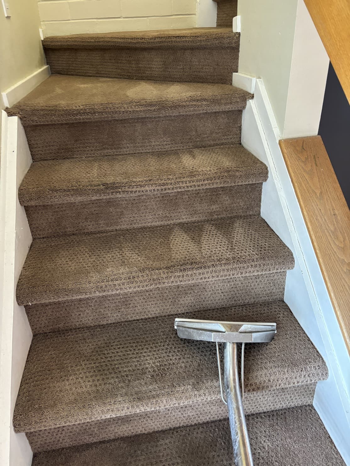Carpet cleaning technician treating a wicking stain on stairs in a Highlands Ranch home