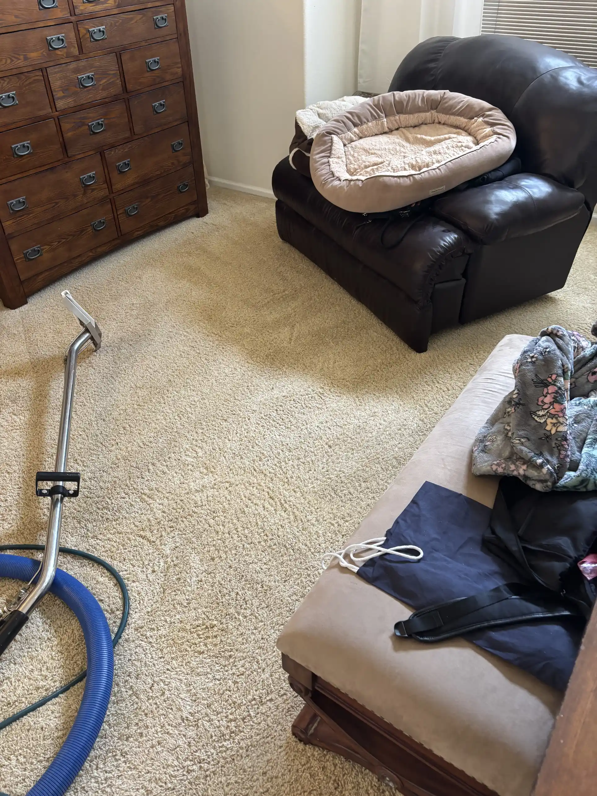 finished carpet in Green Valley Ranch home after cleaning -- clean patterned nylon