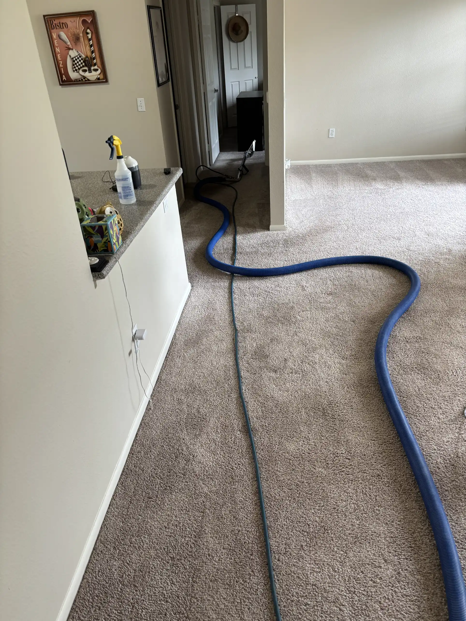 Hallway carpet with embedded soil and traffic lane soiling before professional cleaning, The Meadows Castle Rock CO