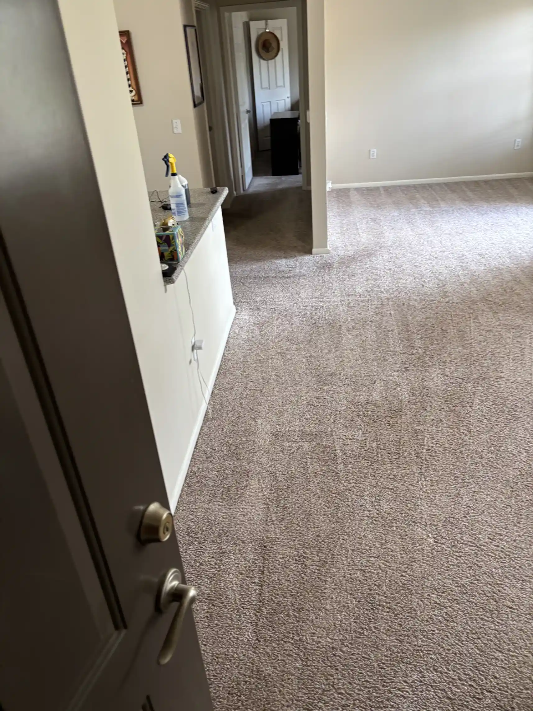 Clean hallway carpet after professional truckmount hot water extraction, traffic lane removed, The Meadows Castle Rock CO