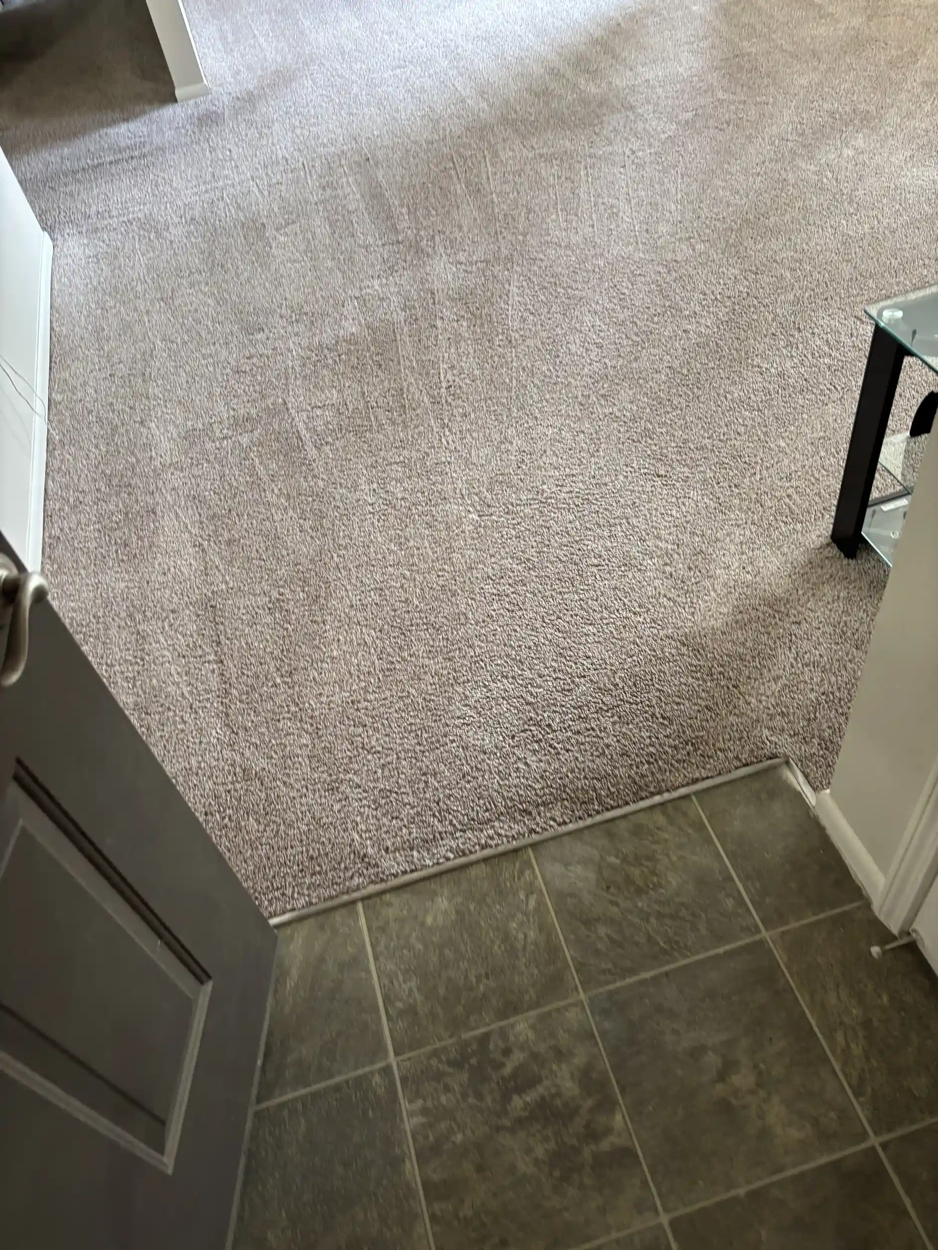 Bedroom carpet restored after professional hot water extraction cleaning, Castle Rock CO