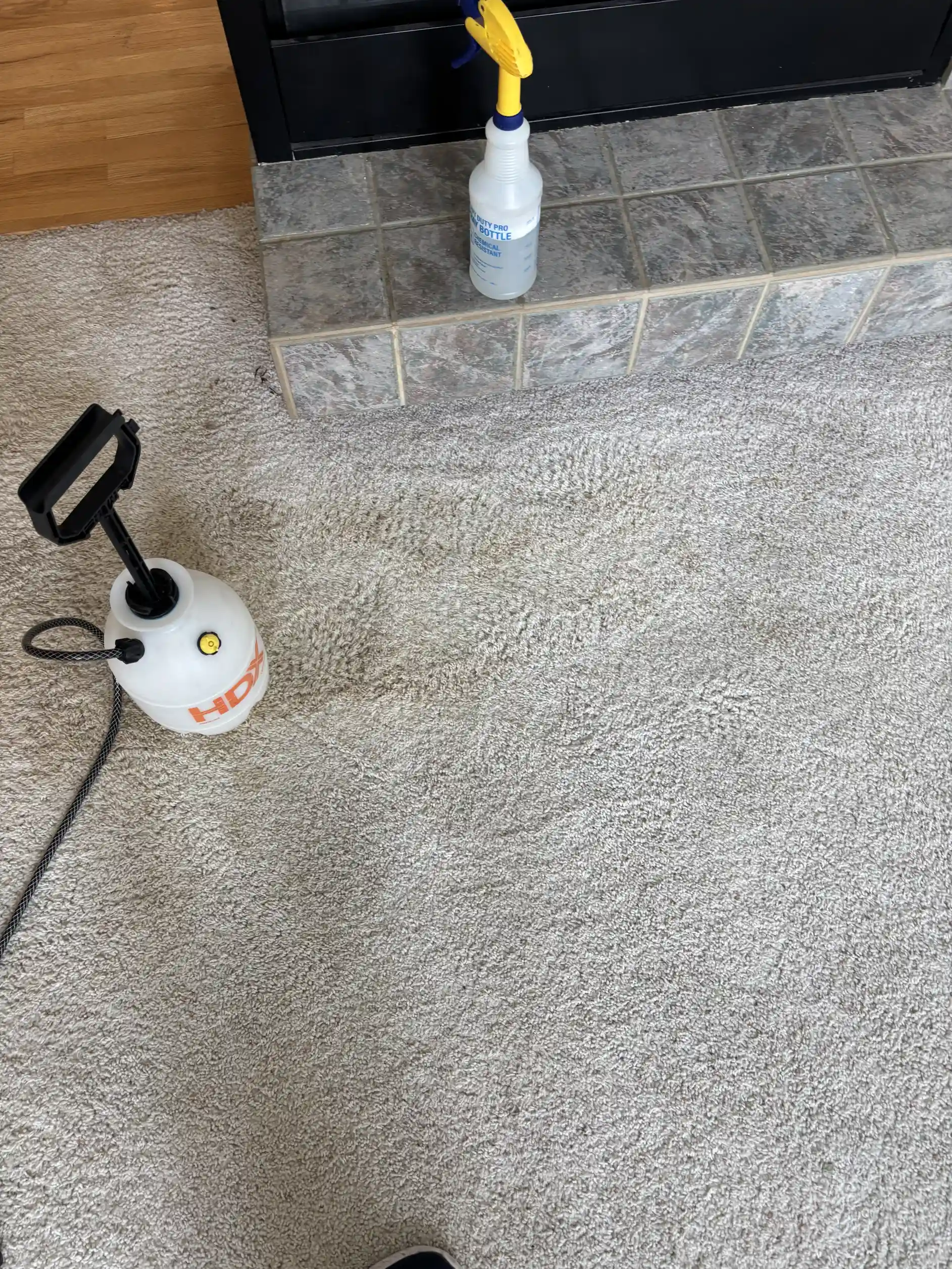 Clean gray bedroom carpet after professional truckmount cleaning, even pile texture, Castle Rock CO