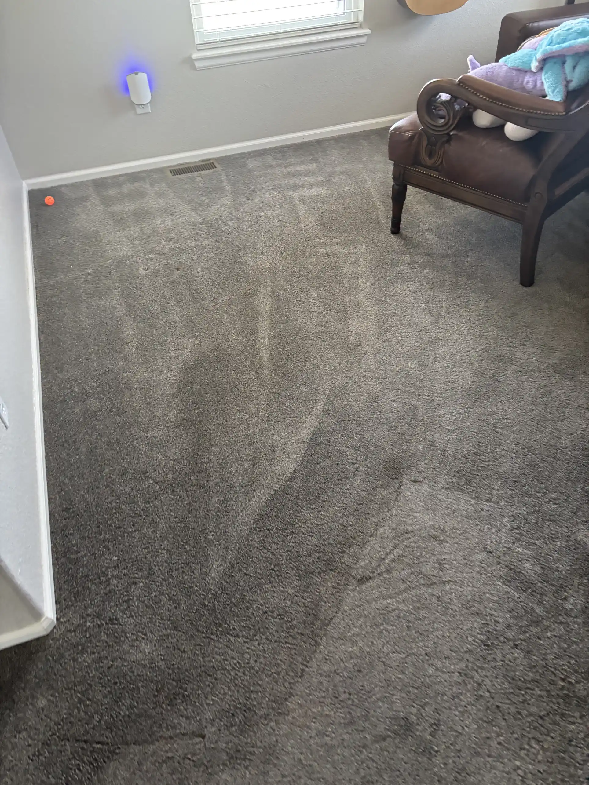 Highlands Ranch carpet after hot water extraction and alkaline pre-treatment for Douglas County red clay