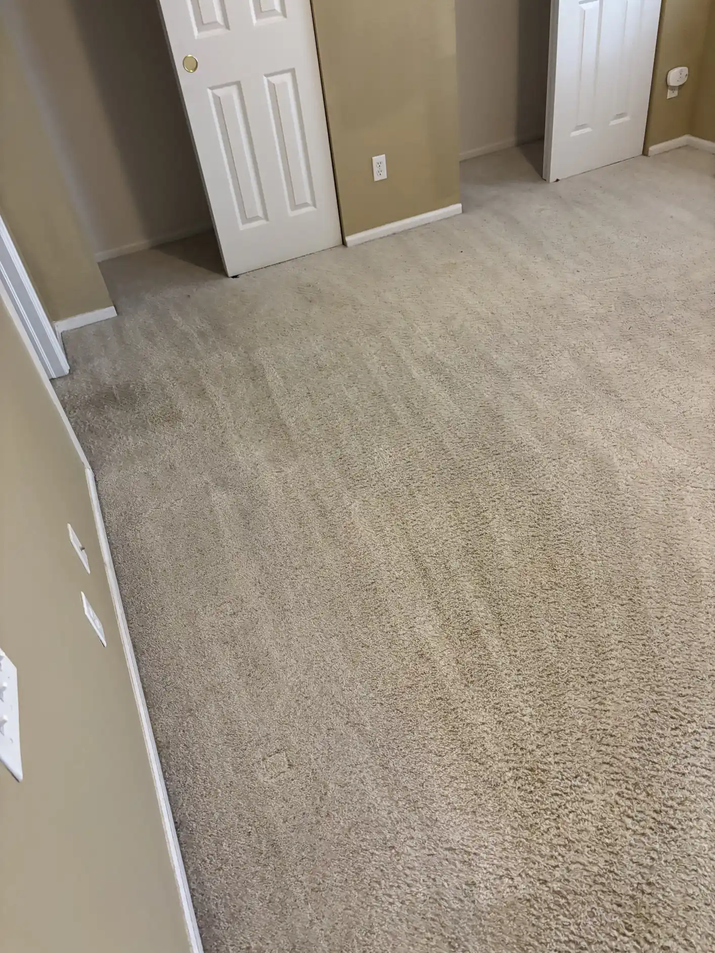 Cleaned patterned Berber carpet after same-day pet urine treatment in Centennial Colorado