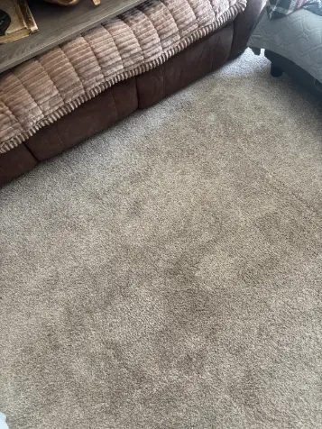 Centennial Floor Surface Identification and Cleaning