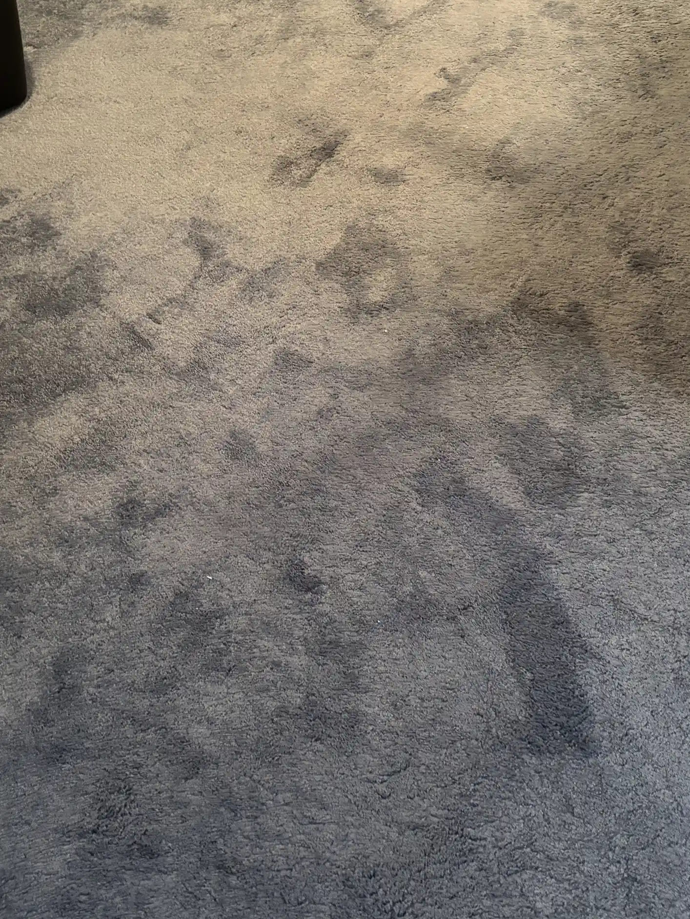 Heavily spotted gray nylon plush basement carpet in Lowry Denver home before professional pre-treatment and extraction