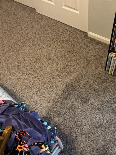 Lakewood Fresh Spills Removal Same-Day Carpet Cleaning
