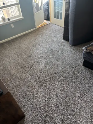 Lakewood Emergency Carpet Damage Restoration Timeline 48 Hours