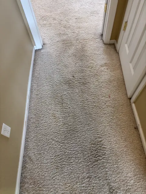 Morrison Canyon Humidity — The Enzyme Drying Stain Removal