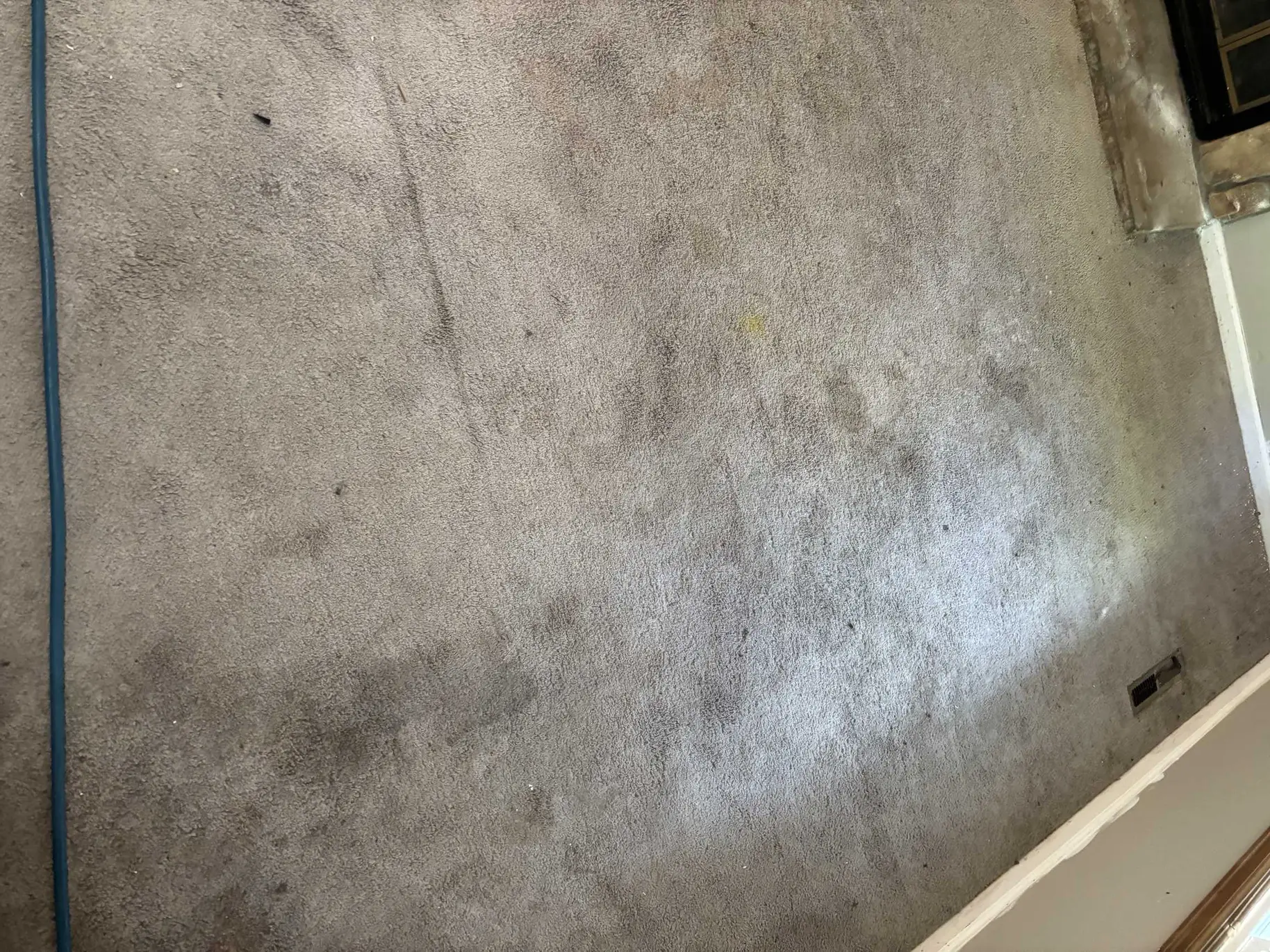 carpet in high-traffic areas showing soil accumulation